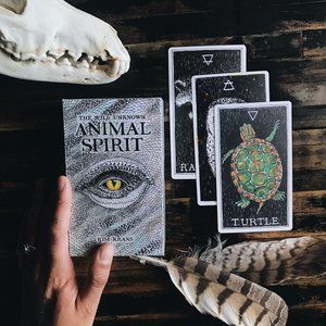 Wild Unknown Animal Spirit Deck